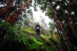 BIB: 
                            <button type="button" onclick="openModal(26202149)" class="btn btn-primary btn-sm float-right btn-popup" data-toggle="modal" data-target=".modal-high-quality">
                        <i class="fas fa-shopping-cart"></i> Add to Cart
                    </button>
                                            <button type="button" onclick="isThisMe(26202149, true)" class="btn btn-success btn-sm float-right btn-popup btn-isme hidden" data-toggle="tooltip" data-placement="bottom" title="นี่คือรูปของคุณใช่ไหม คลิกที่นี่เพื่อเอาเข้าอัลบั้ม">
                        <i class="fas fa-plus"></i> Add to album
                    </button>
                    <button type="button" onclick="isThisMe(26202149, false)" class="btn btn-warning btn-sm float-right btn-popup btn-isnotme hidden">
                        <i class="fas fa-ban"></i> Remove from album
                    </button>